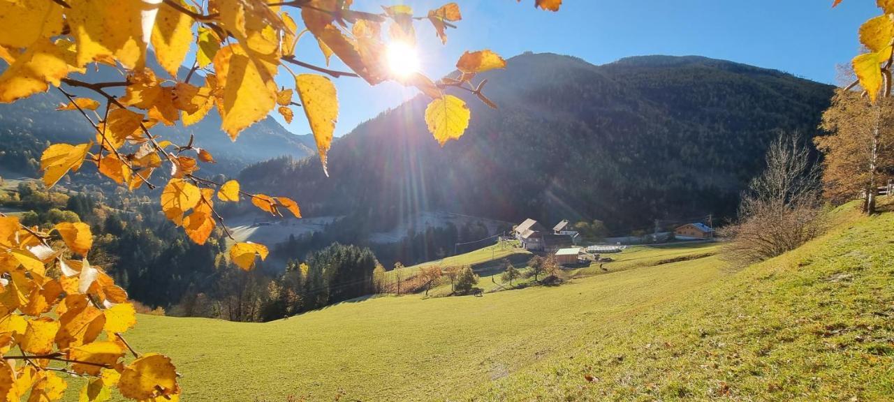 Koeck-Chalet Villa Kleinsolk Eksteriør bilde